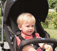 Load image into Gallery viewer, Chicco Echo Stroller
